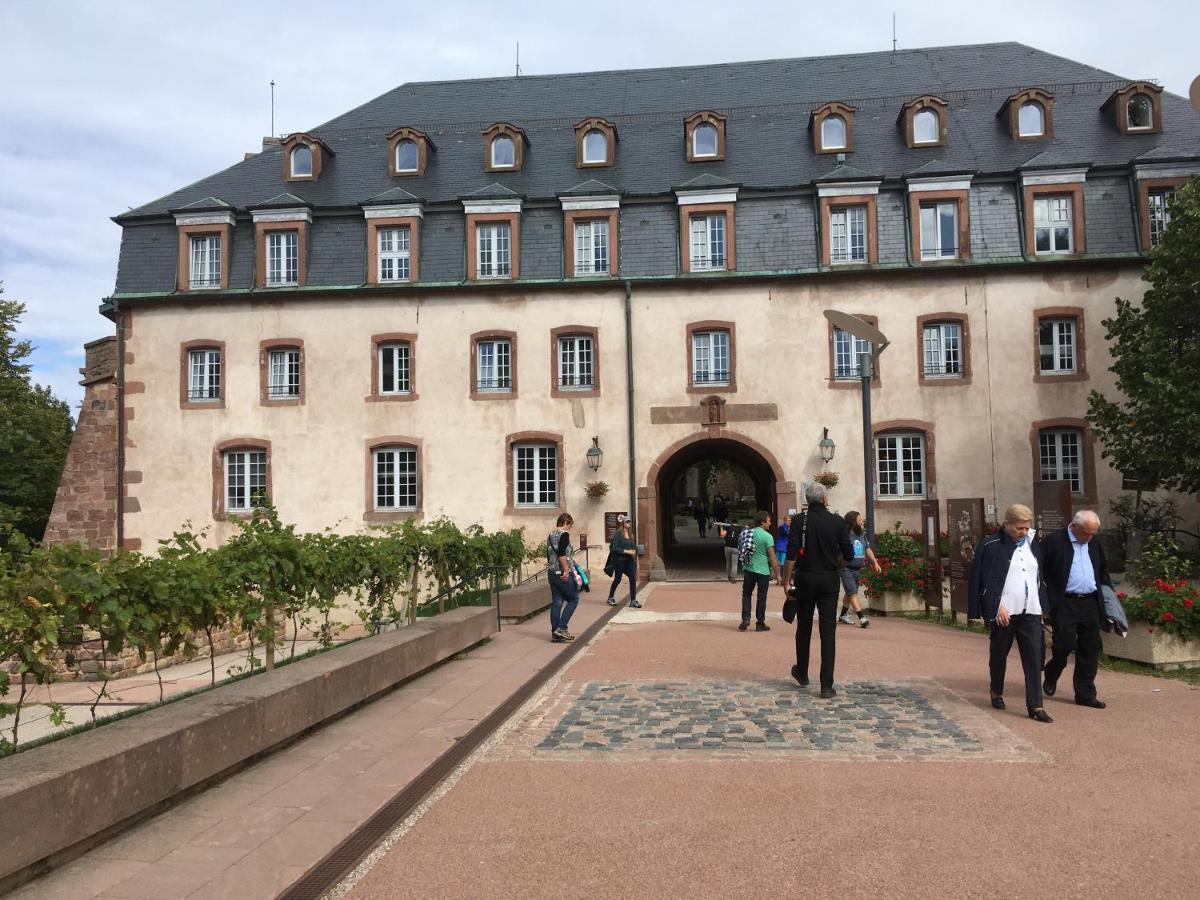Maison Independante De Montagne En Alsace Bellefosse Luaran gambar