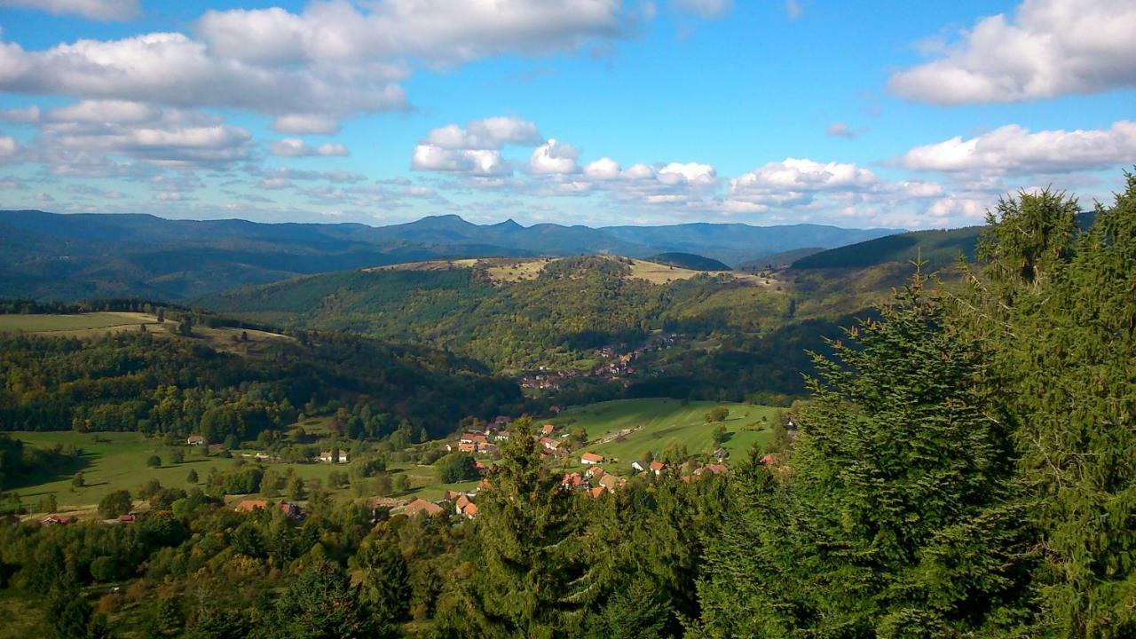 Maison Independante De Montagne En Alsace Bellefosse Luaran gambar