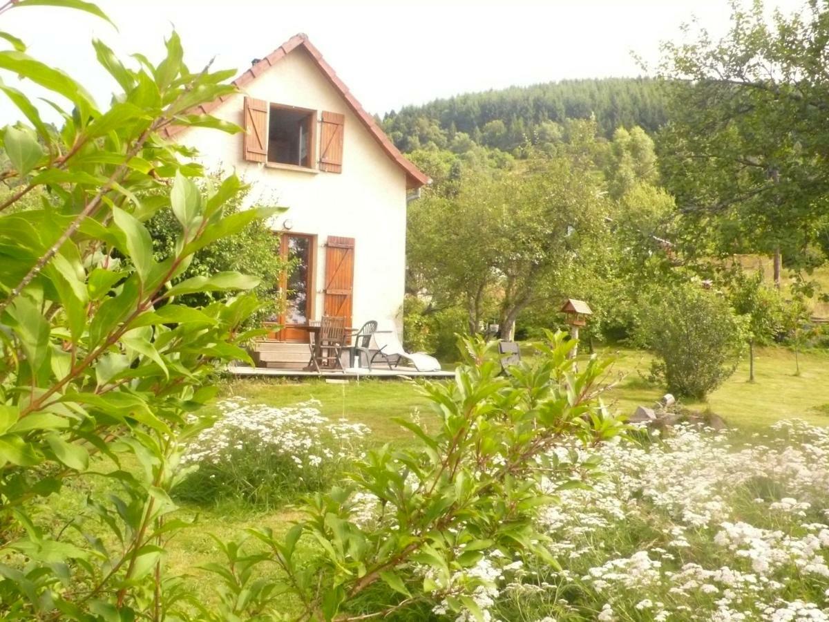 Maison Independante De Montagne En Alsace Bellefosse Luaran gambar